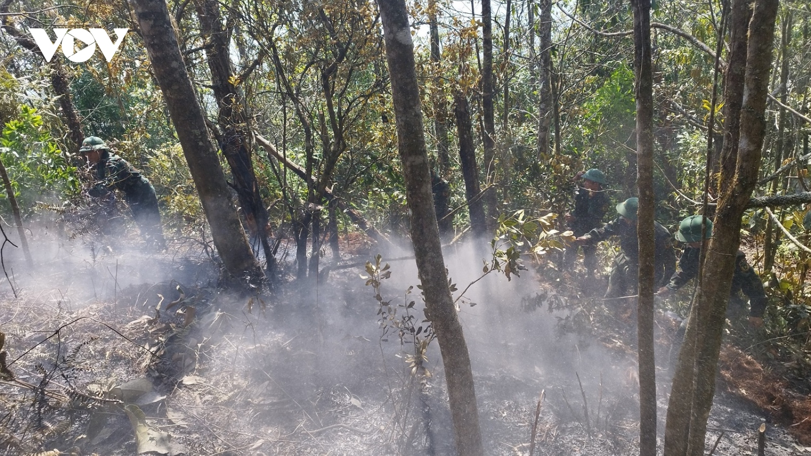 Hàng trăm cán bộ, chiến sĩ Hà Giang tham gia chữa cháy rừng