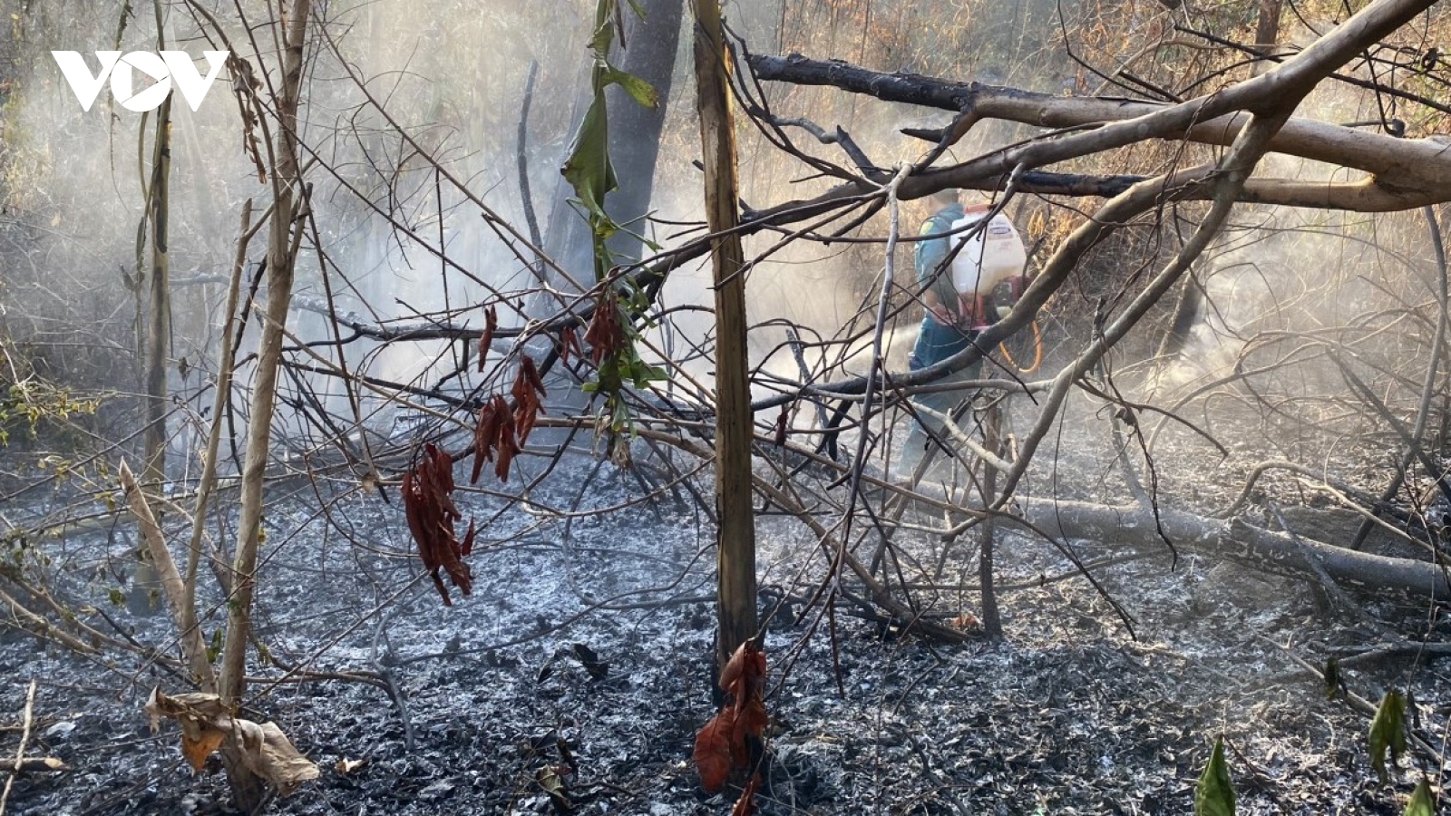 Cháy rừng tại một số địa phương tại An Giang đã cơ bản được khống chế