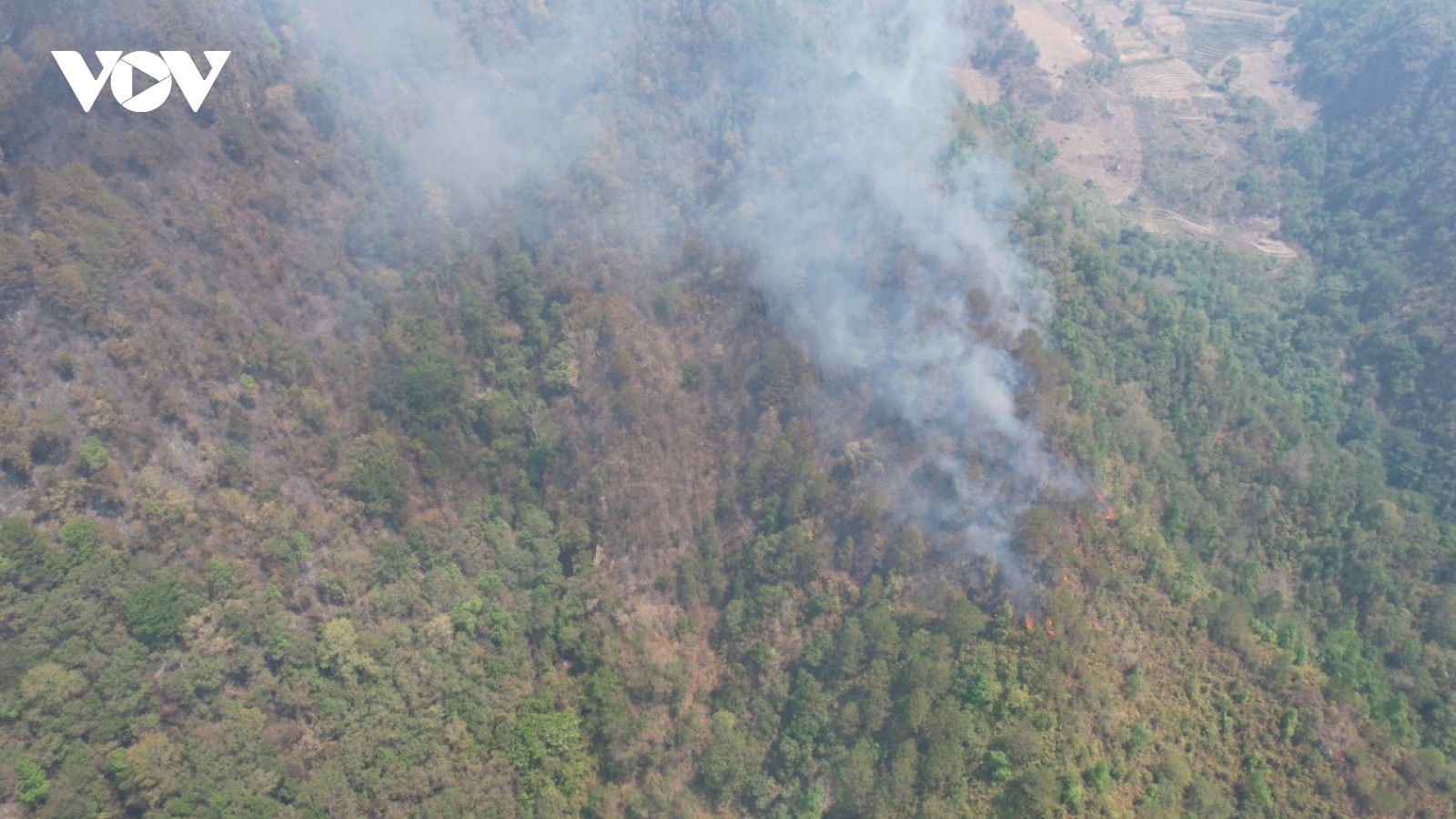 Tạm thời khống chế được vụ cháy rừng ở huyện Tủa Chùa, Điện Biên