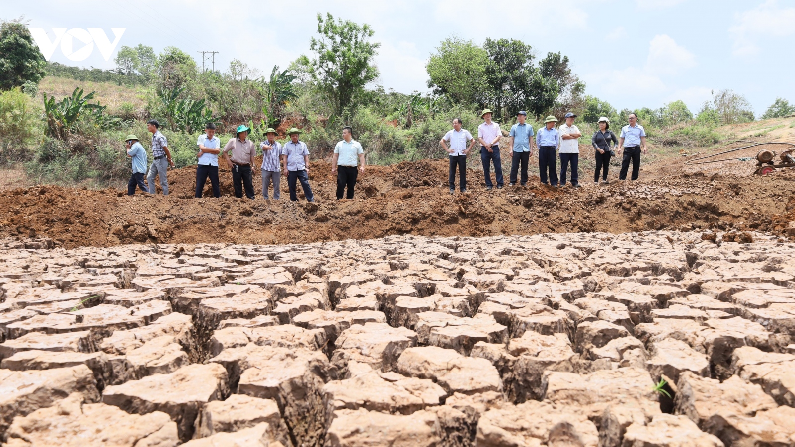 Hơn 2.000 ha cây trồng ở Đắk Lắk  bị ảnh hưởng do nắng hạn