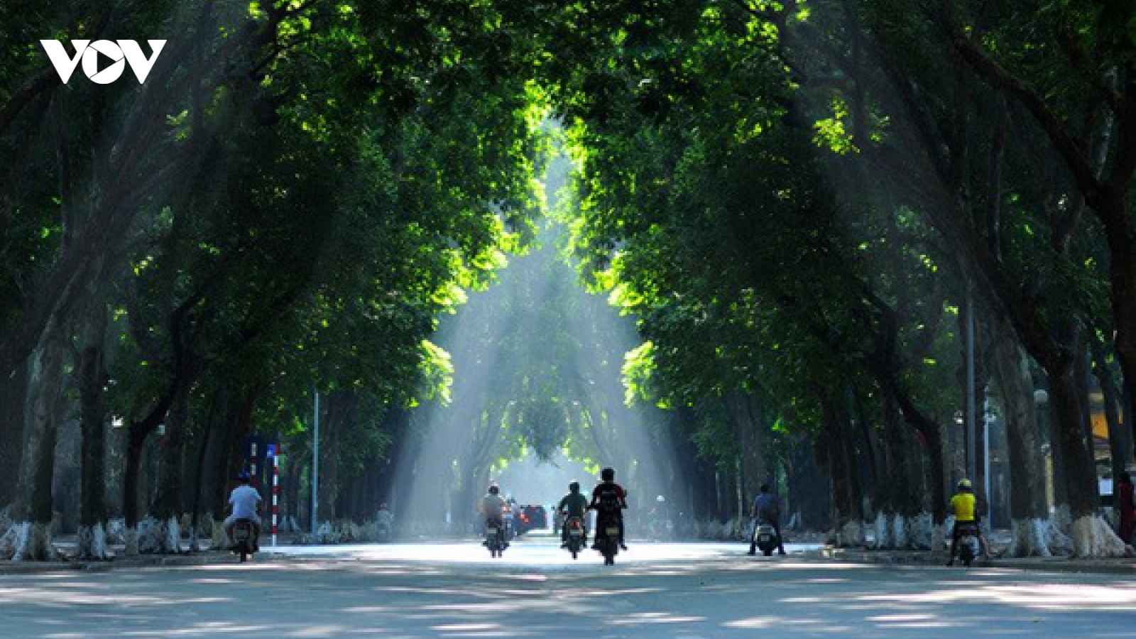 Thời tiết ngày 12/4: Hà Nội có sương mù nhẹ rải rác, trưa chiều hửng nắng