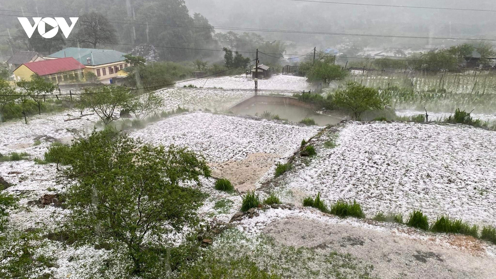 Dông lốc, mưa đá gây thiệt hại cho tỉnh Sơn La ước tính hơn 54 tỷ đồng