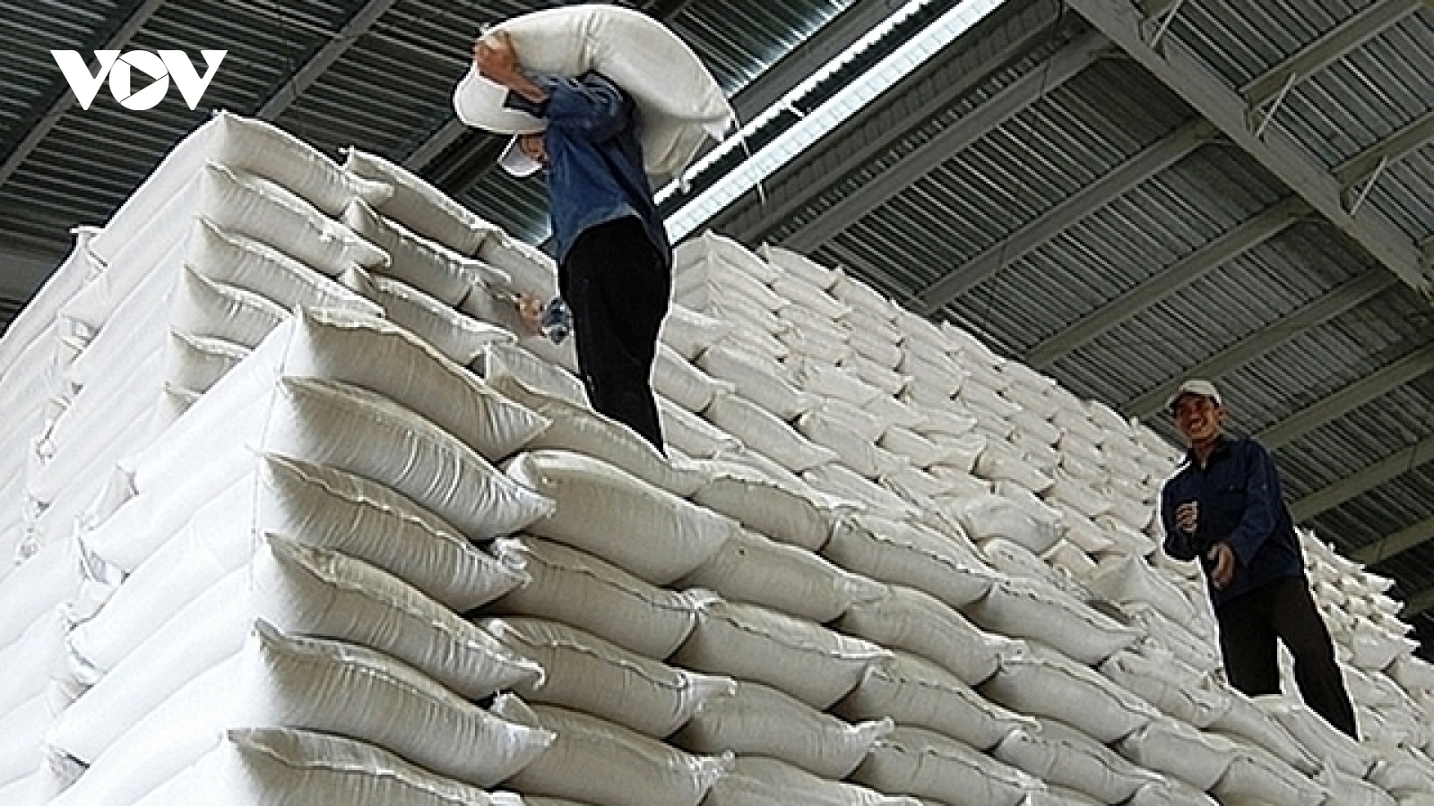 Xuất cấp gạo hỗ trợ nhân dân Điện Biên và Bắc Kạn
