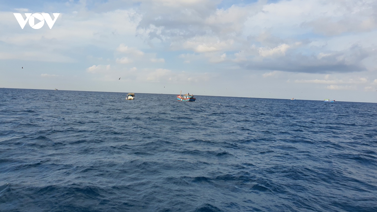 Tìm kiếm ngư dân Bình Định mất tích trên biển
