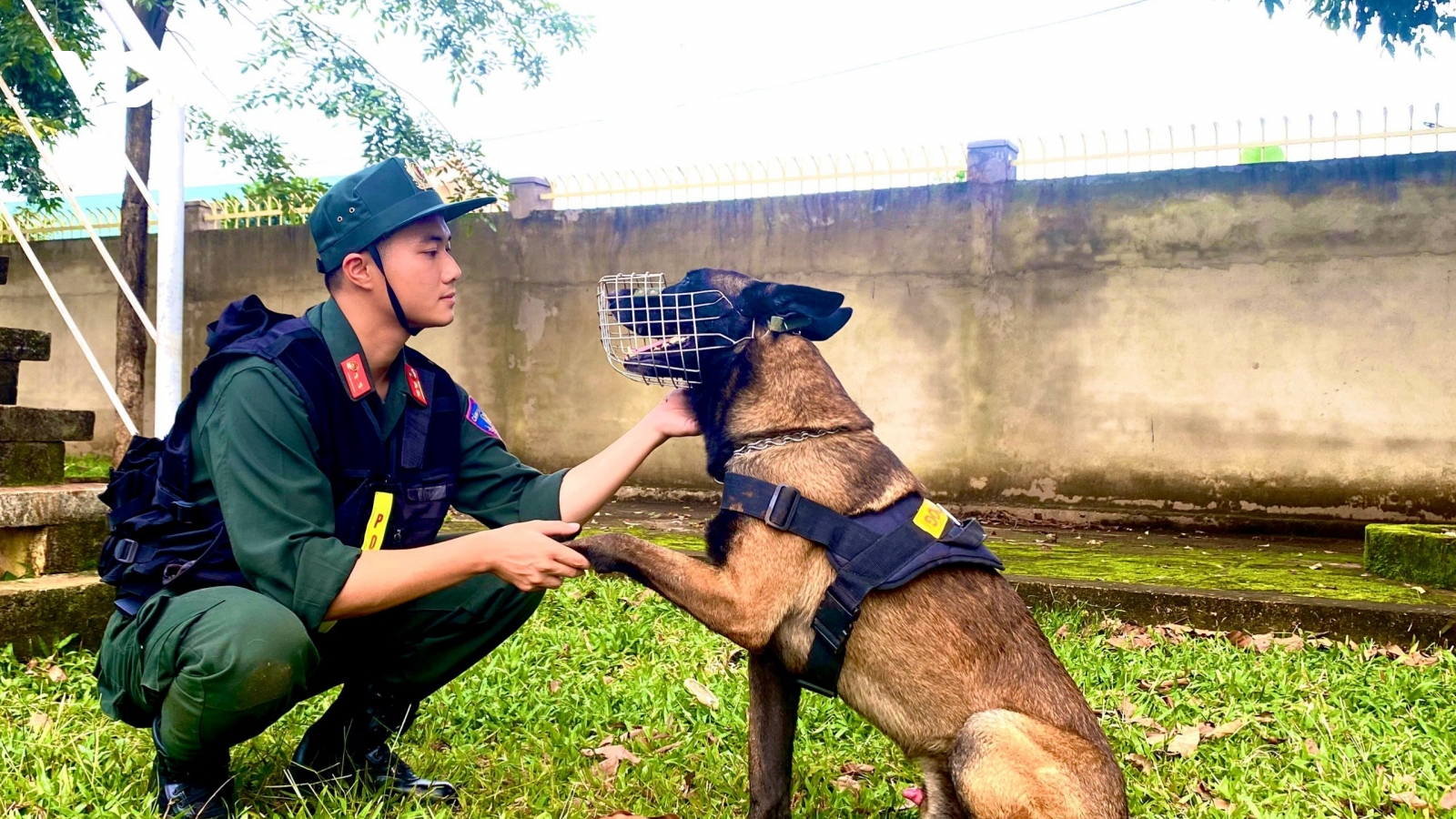 Đóng góp thầm lặng của khuyển binh cảnh sát cơ động