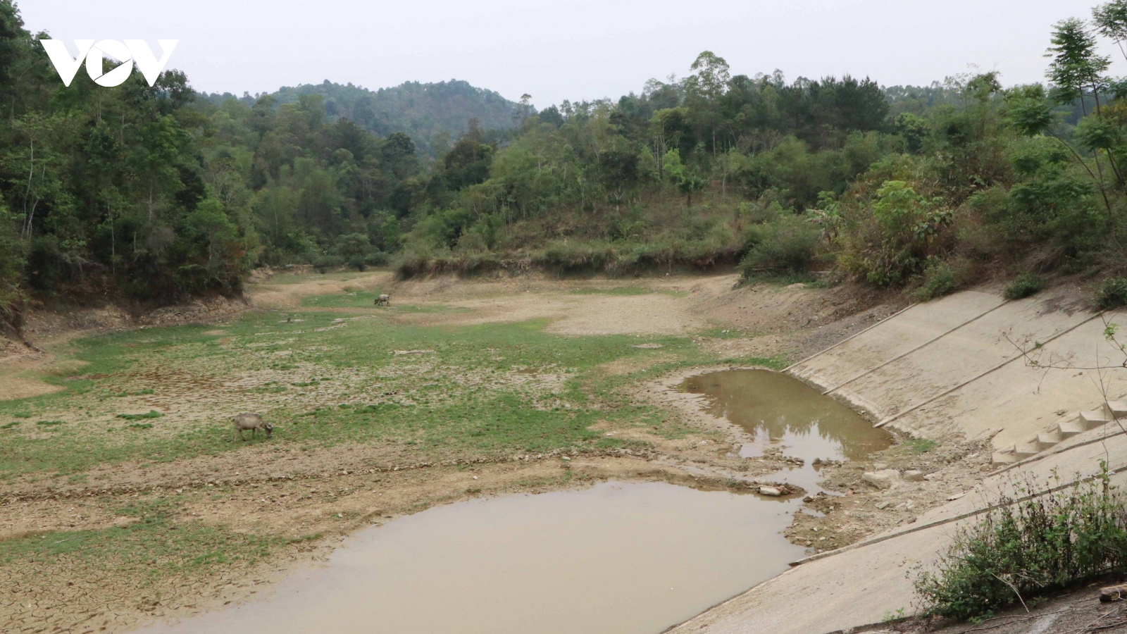 Nông dân Lai Châu chật vật chống hạn cho cây trồng