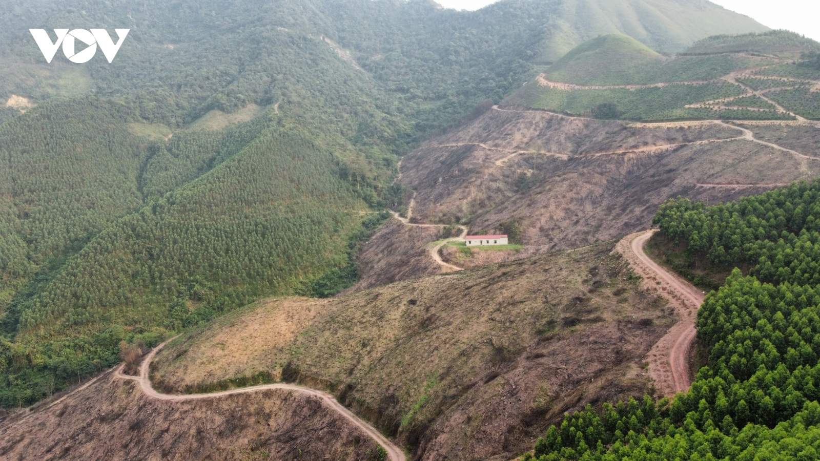 Bắc Giang dùng nhiều biện pháp cấp bách phòng cháy, chữa cháy rừng