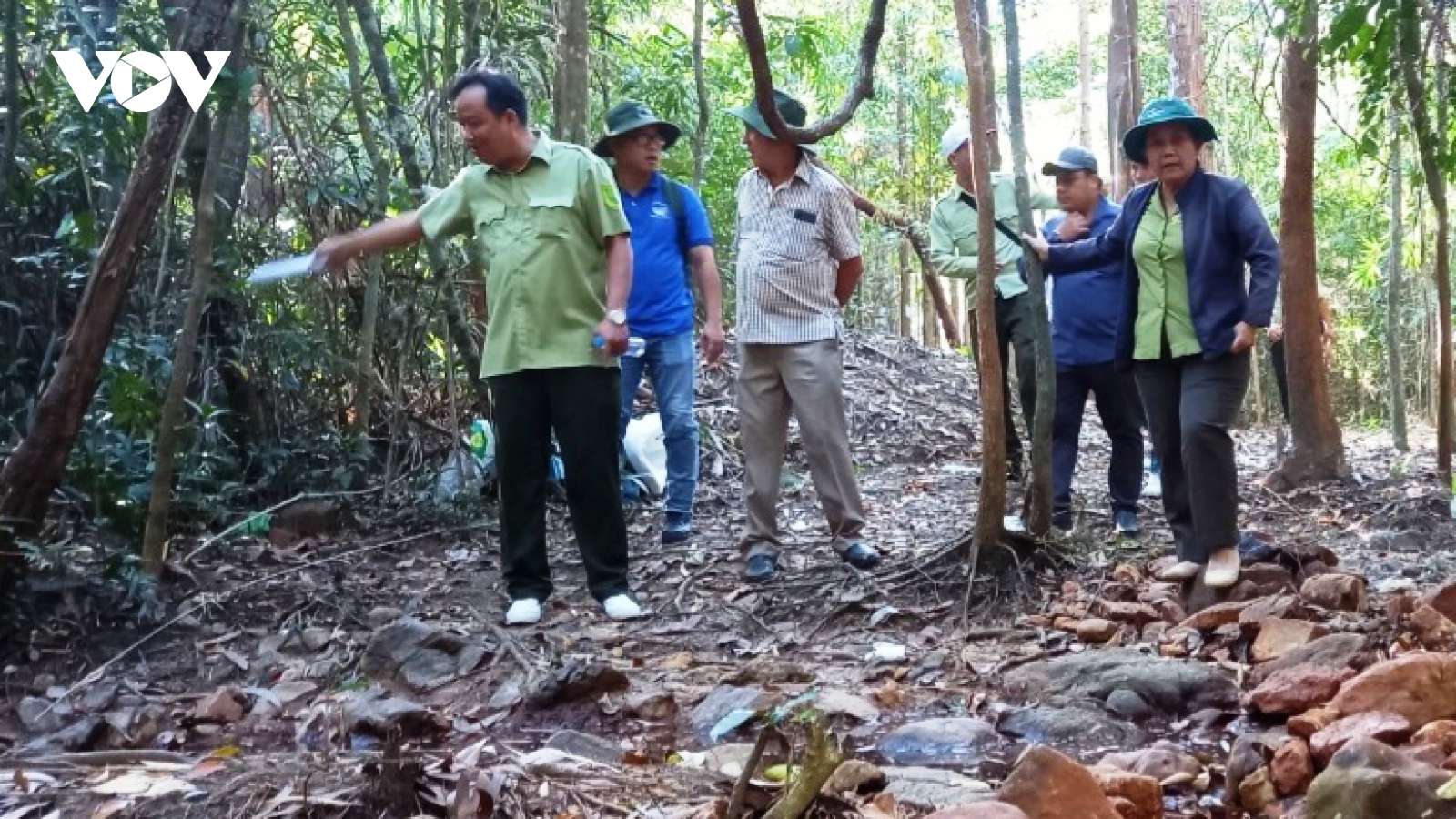 Núi Cậu Dầu Tiếng khoác "áo giáp" phòng cháy trong mùa khô