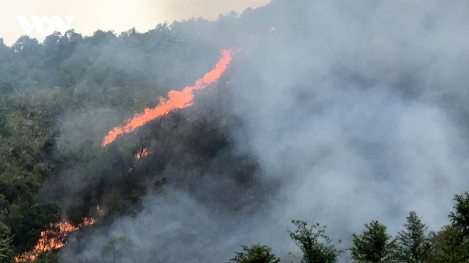 Lai Châu cơ bản khống chế được đám cháy rừng