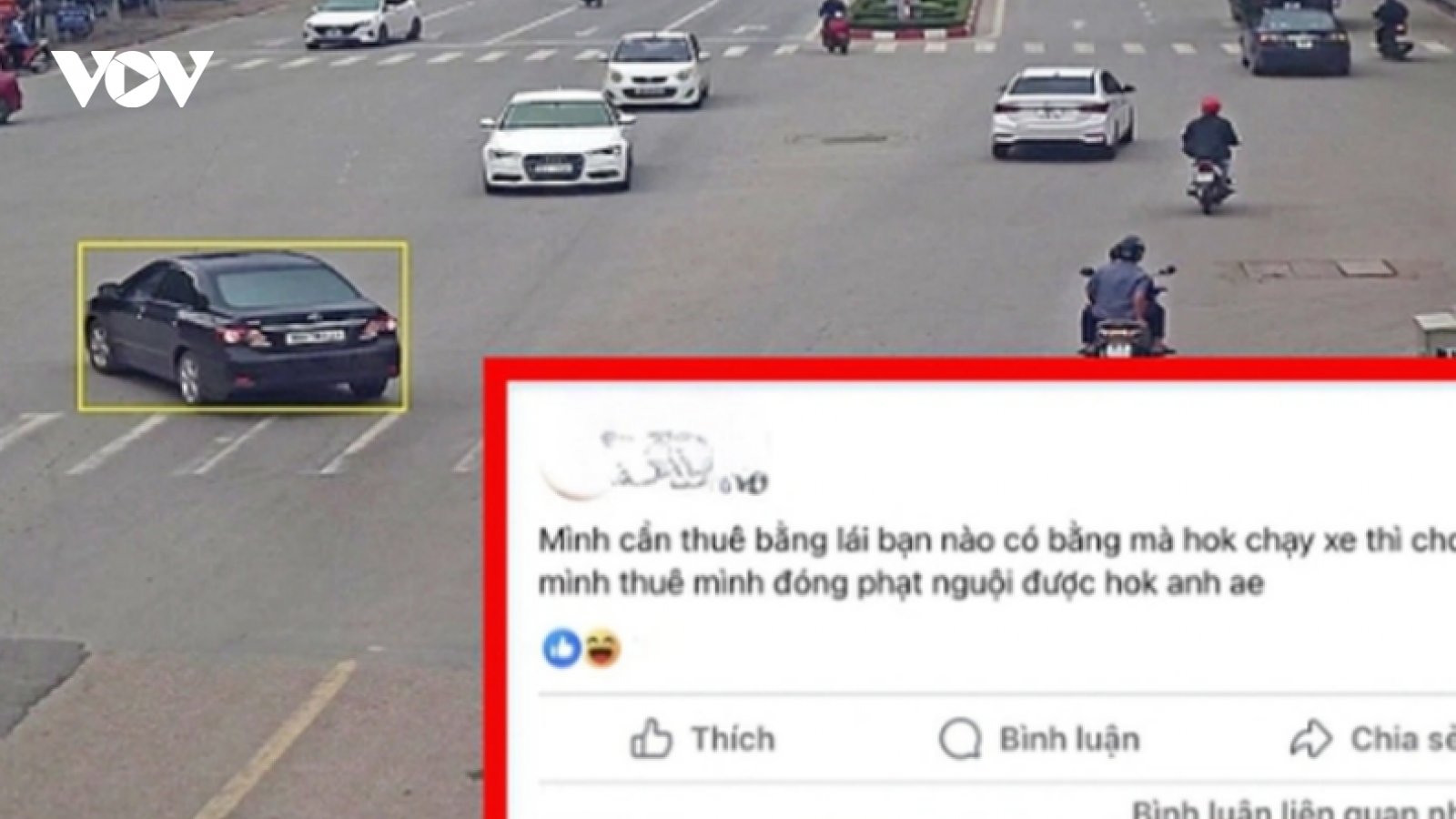 Thuê bằng lái để đối phó với phạt nguội: Xử lý ra sao?