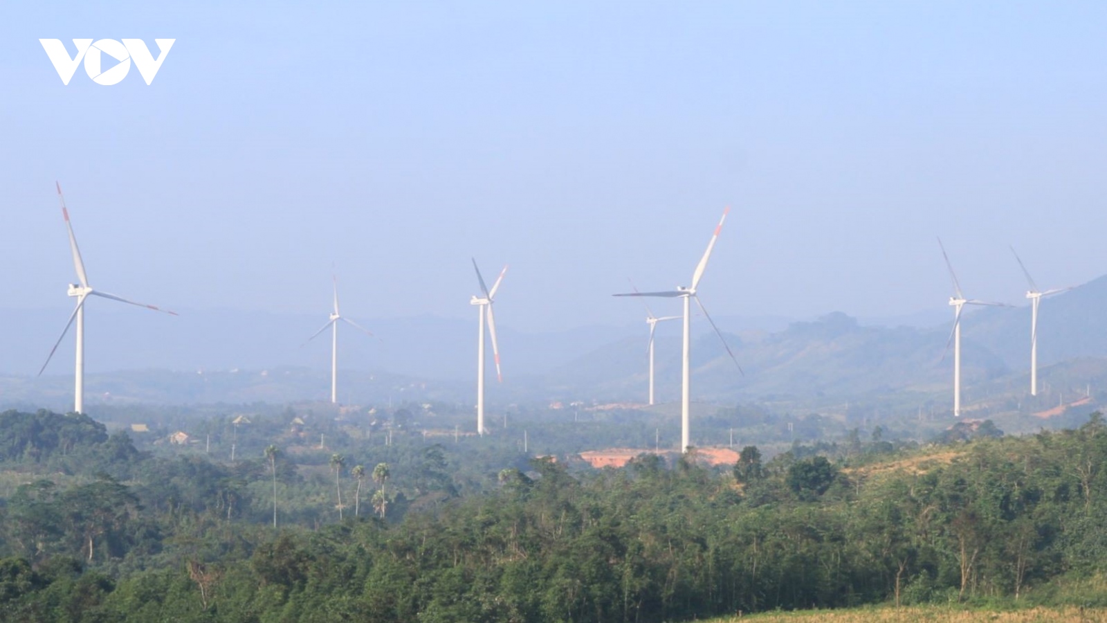 Nhiều hạng mục điện gió xây dựng trên đất rừng phòng hộ