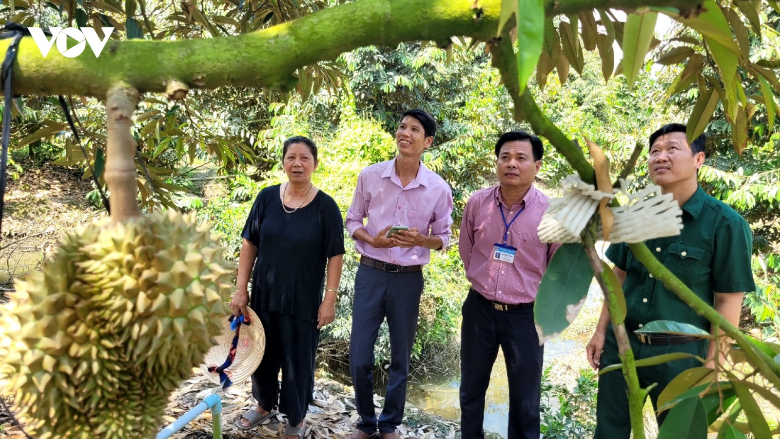 Mỹ Lợi A (Cái Bè, Tiền Giang) - Vùng đất chuyển mình