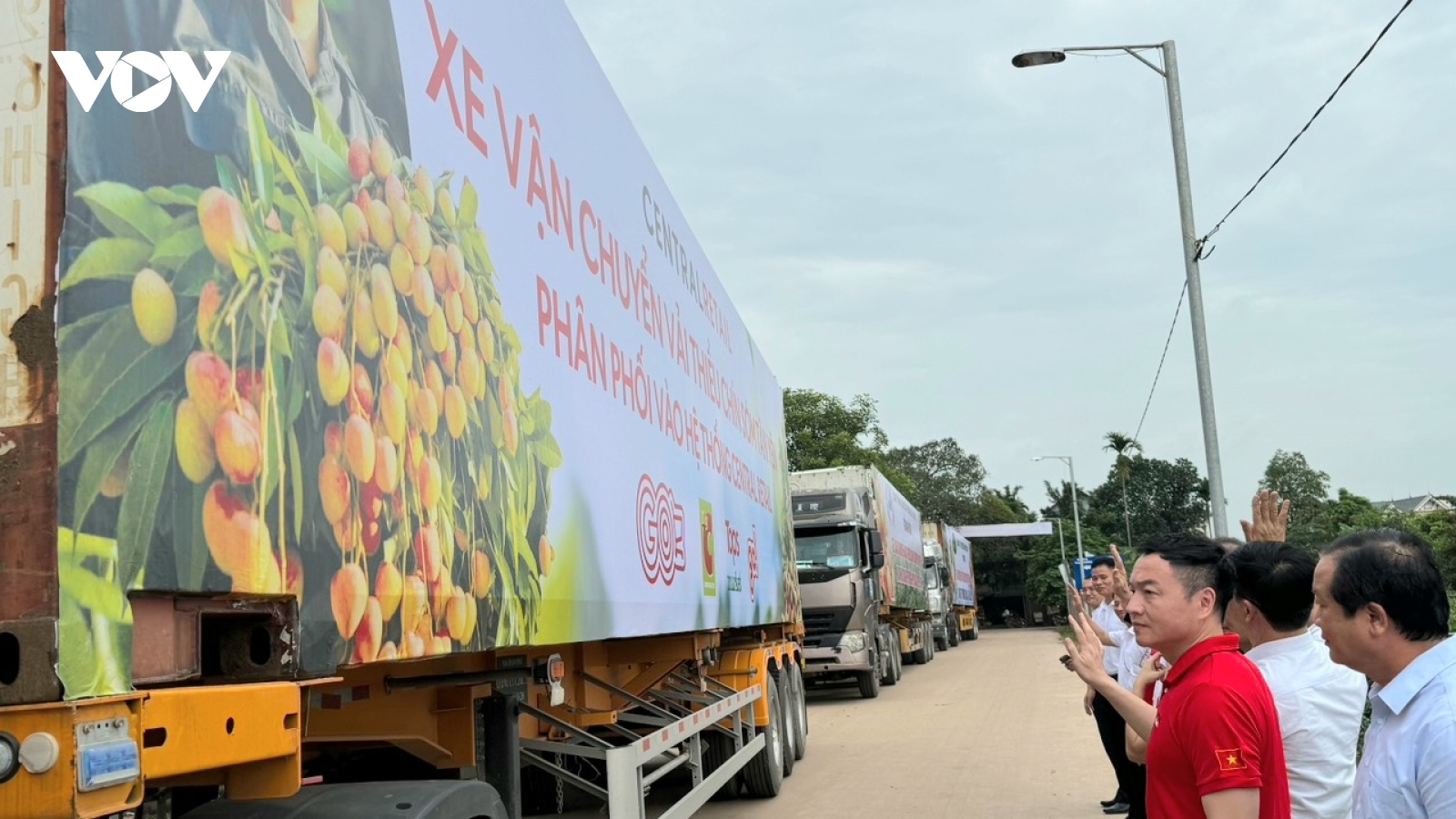 Bắc Giang kết nối tiêu thụ vải thiều chín sớm Tân Yên