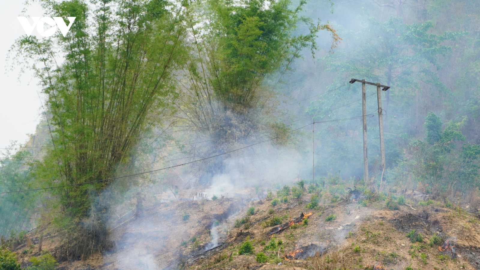 Lào triển khai dự án giảm phát thải khí nhà kính, phát triển tín chỉ carbon rừng