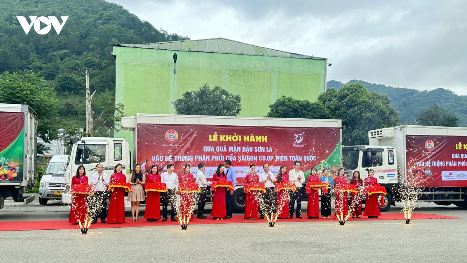 Saigon Co.op cam kết tiêu thụ mận hậu và nông sản Sơn La