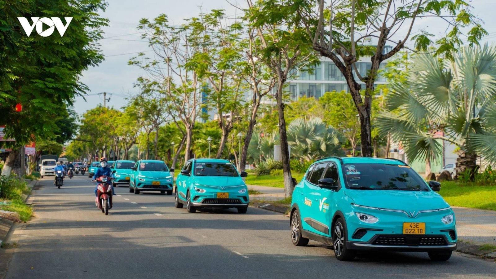 GSM triển khai chương trình “mùa hè xanh vì tương lai”