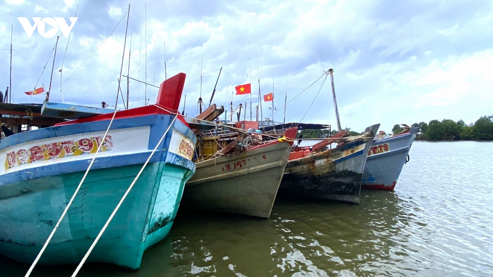 Nhiều chủ tàu cá, thuyền trưởng bị xử phạt vi phạm hành chính
