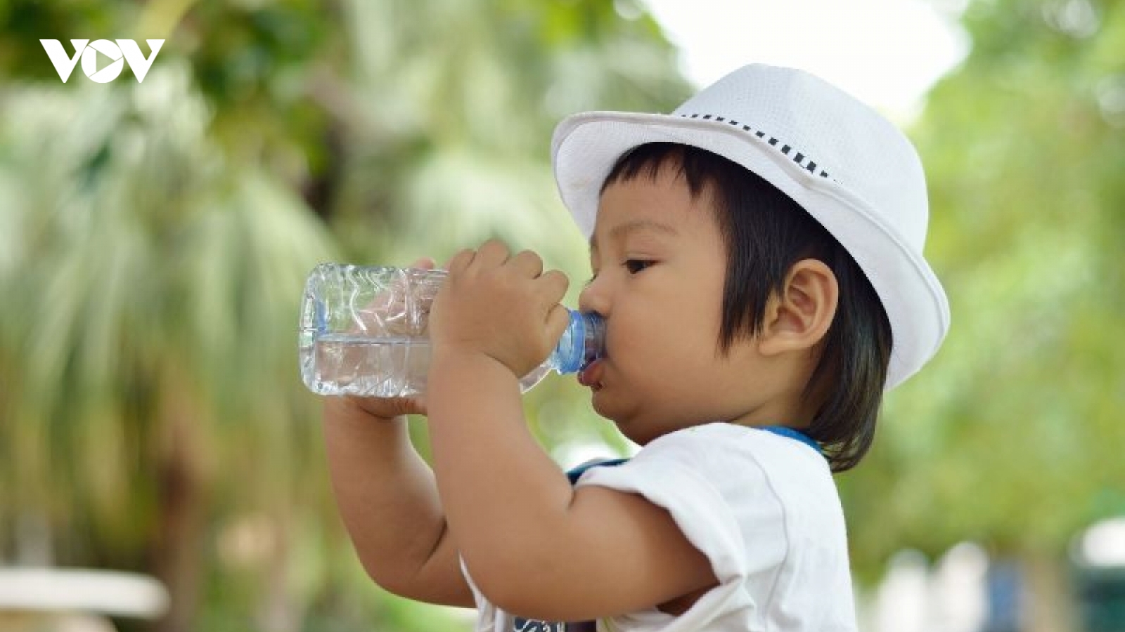 Ngày hè nắng nóng, trẻ uống nước bao nhiêu là đủ?