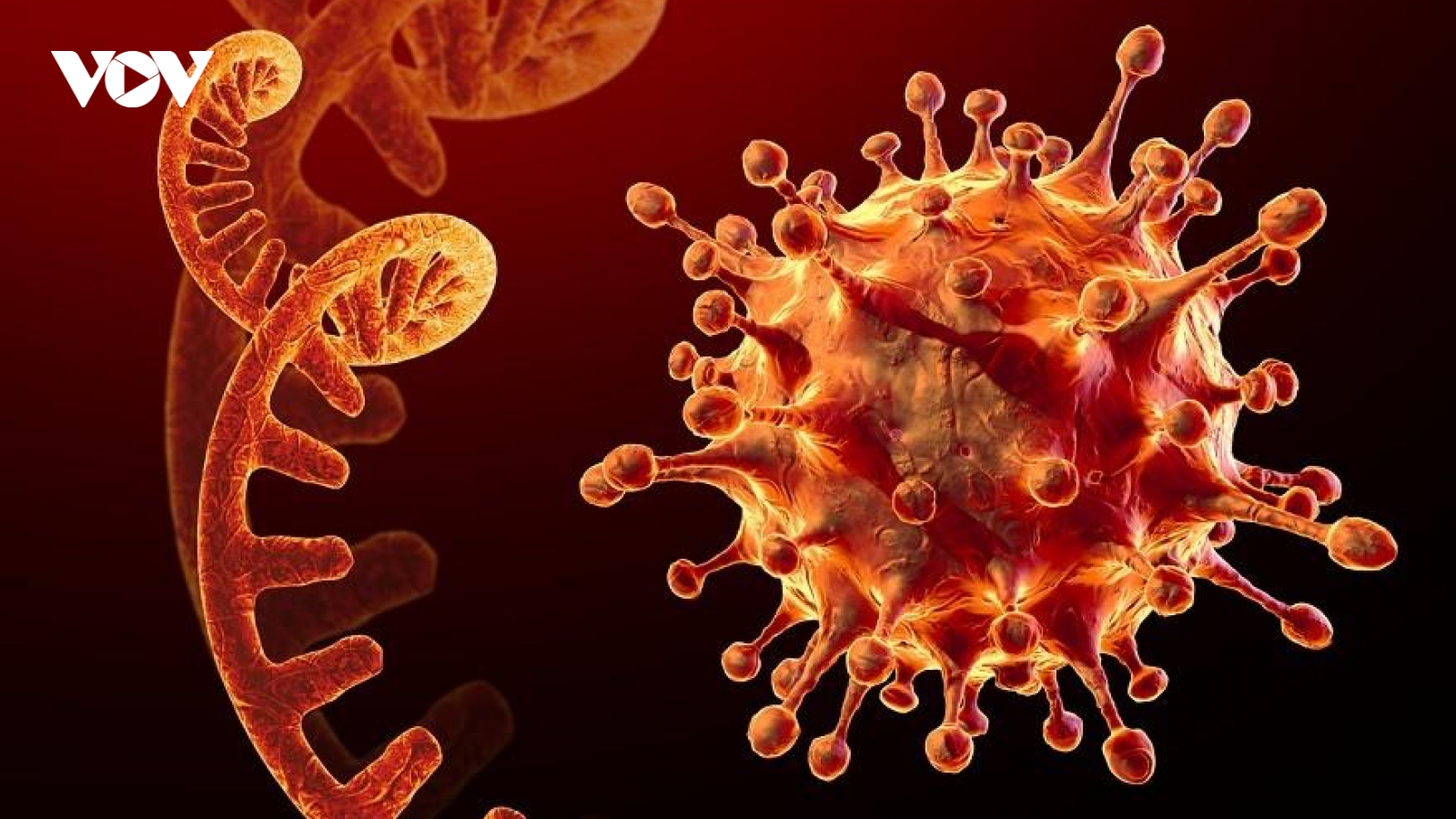 Covid-19 trên thế giới diễn biến khó lường, Bộ Y tế hướng dẫn liều tiêm vaccine