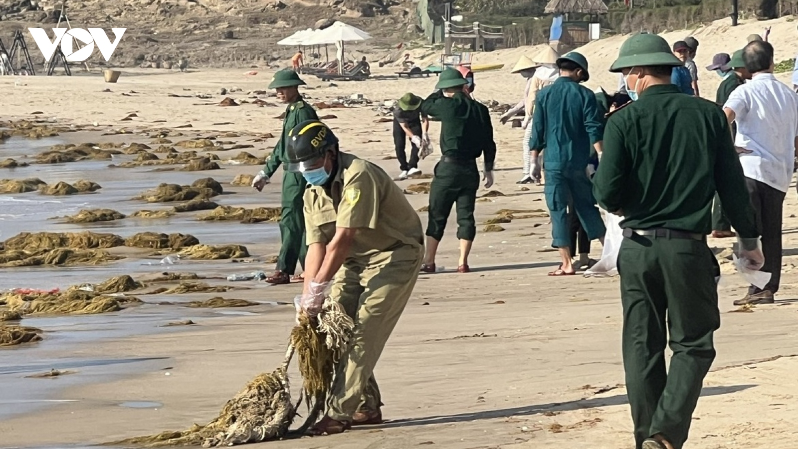 Bình Thuận khẩn trương thu gom xử lý dầu vón cục trôi vào bờ biển