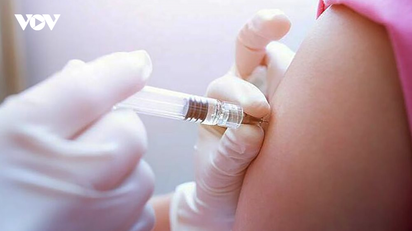 Mang thai 20 tuần bị chó cắn, có nên đi tiêm phòng dại?