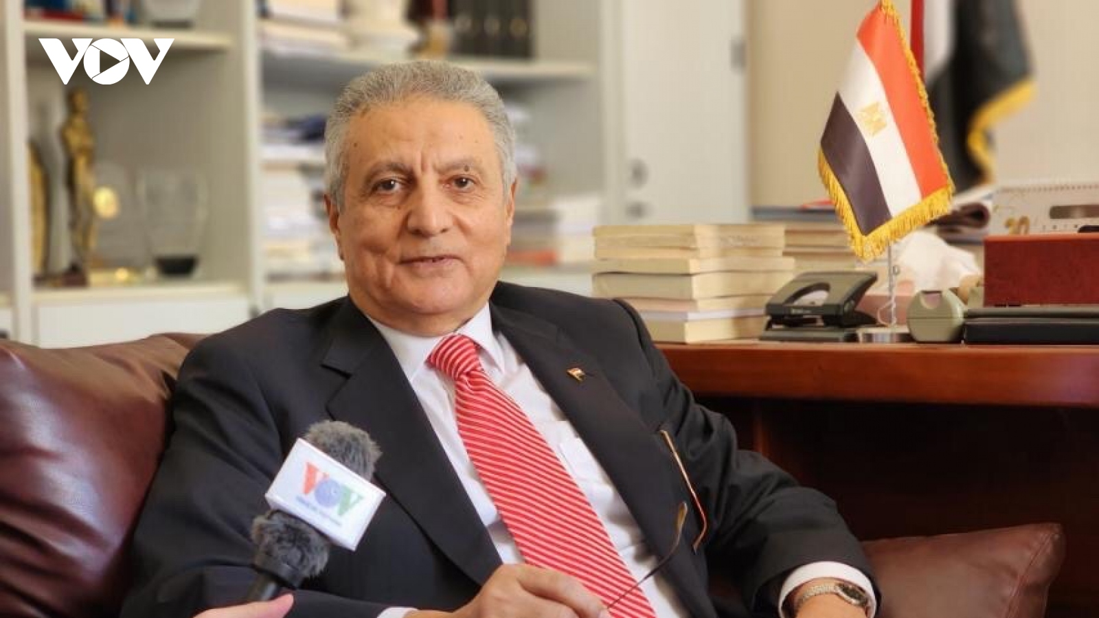 Đại sứ Ai Cập: Châu Phi có được bài học quý từ chiến thắng Điện Biên Phủ