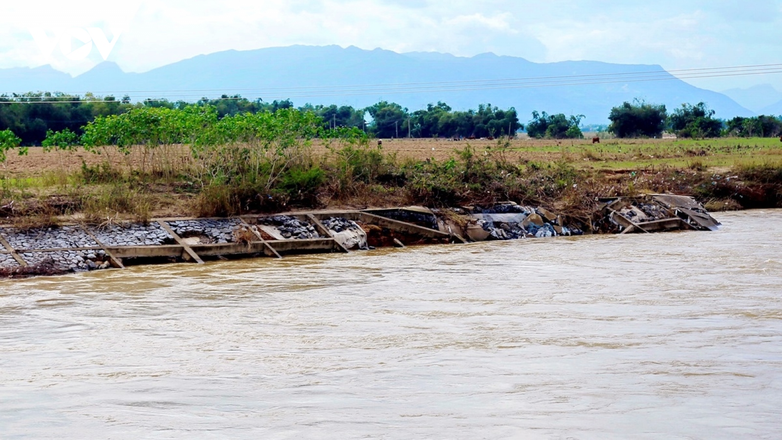 Quảng Nam điều chỉnh chủ trương đầu tư 3 dự án kè chống xói lở bờ sông, bờ biển