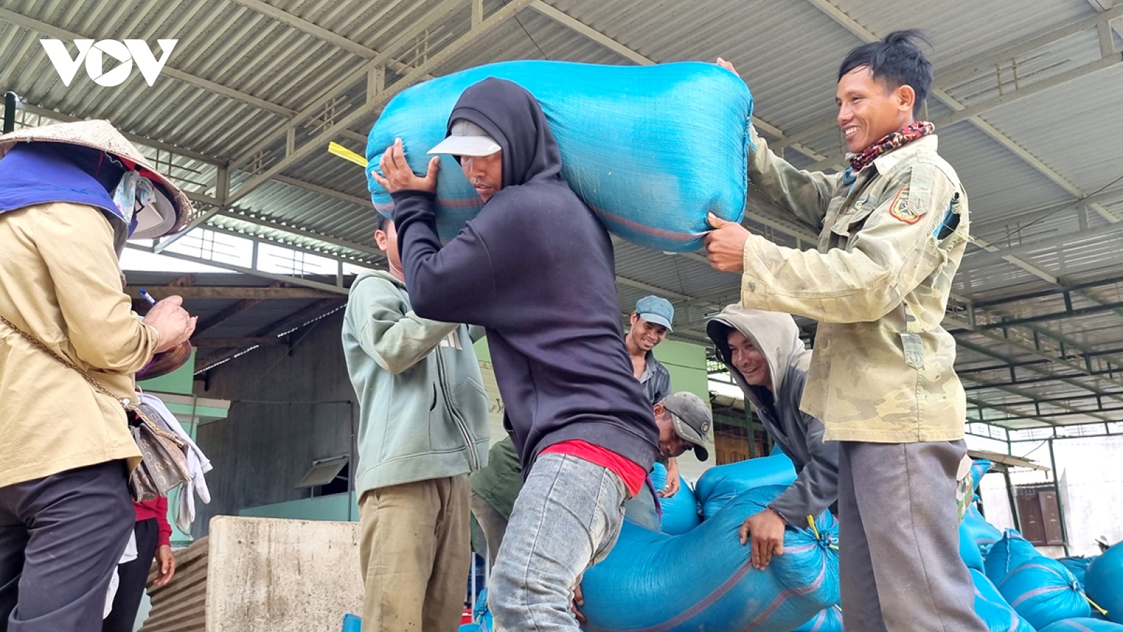 Lúa được mùa, được giá, nông dân Đắk Lắk phấn khởi đón “mùa vàng”