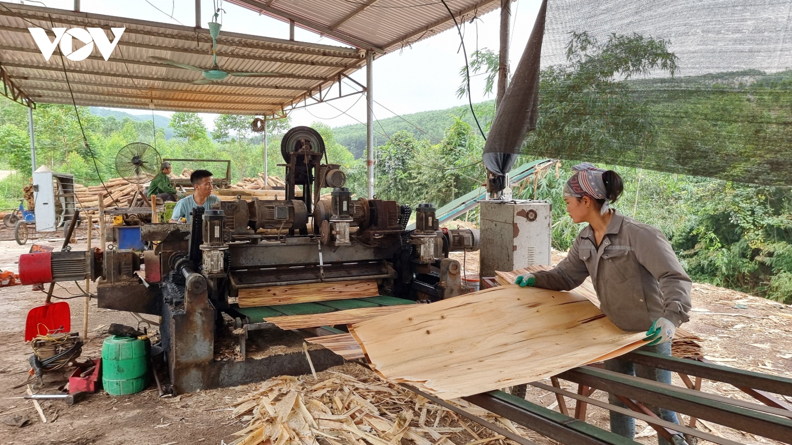 Vụ nhà xưởng trái phép trên đất nông nghiệp ở Sơn Động: “tỉnh nóng, huyện lạnh"