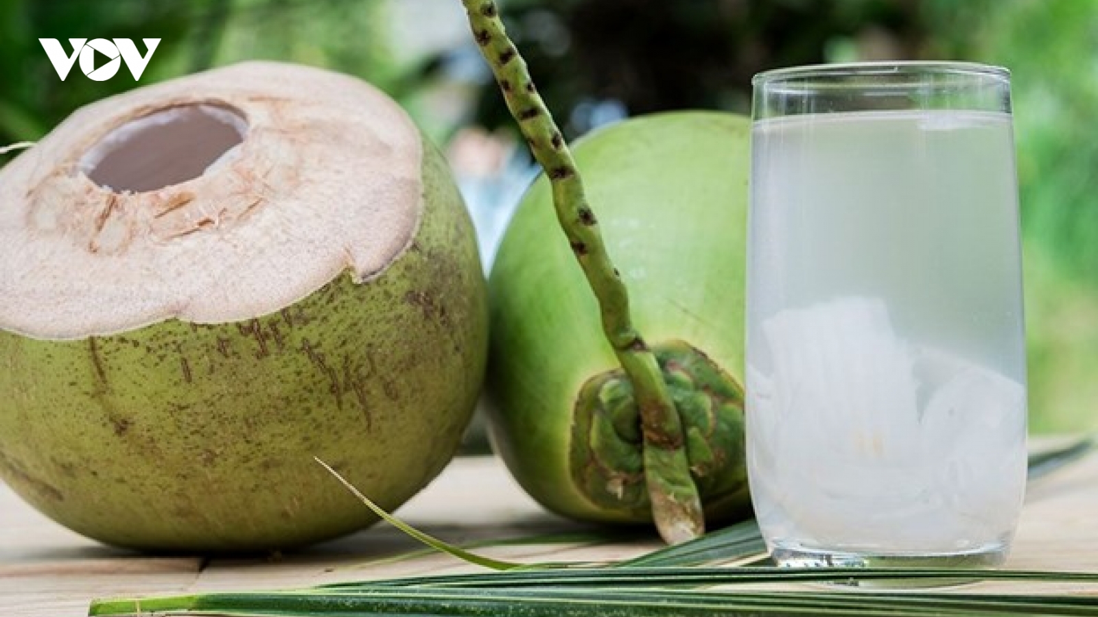Là thức uống trường thọ nhưng nước dừa lại đại kỵ với những nhóm người này
