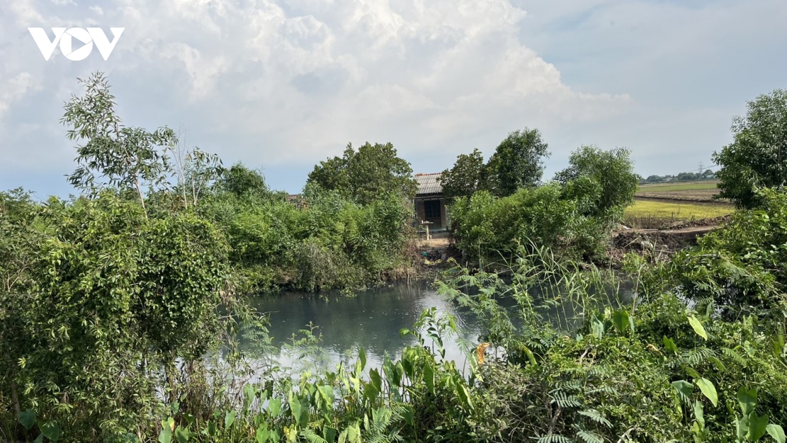 Phạt hơn 300 triệu đồng nhà máy phân bón ở Long An gây ô nhiễm nguồn nước