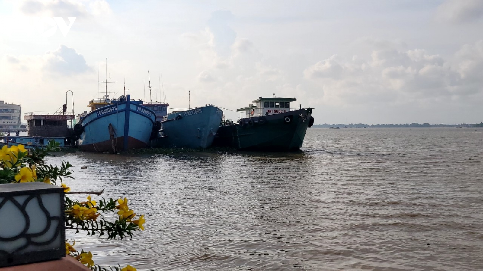 Khu neo đậu tàu tập trung vắng tanh, tàu thuyền đậu tràn lan trên sông Tiền