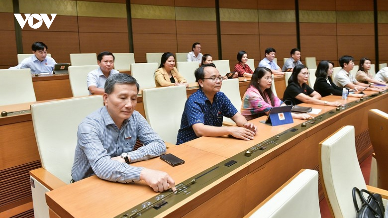 Quốc hội thành lập đoàn giám sát tối cao về bảo vệ môi trường