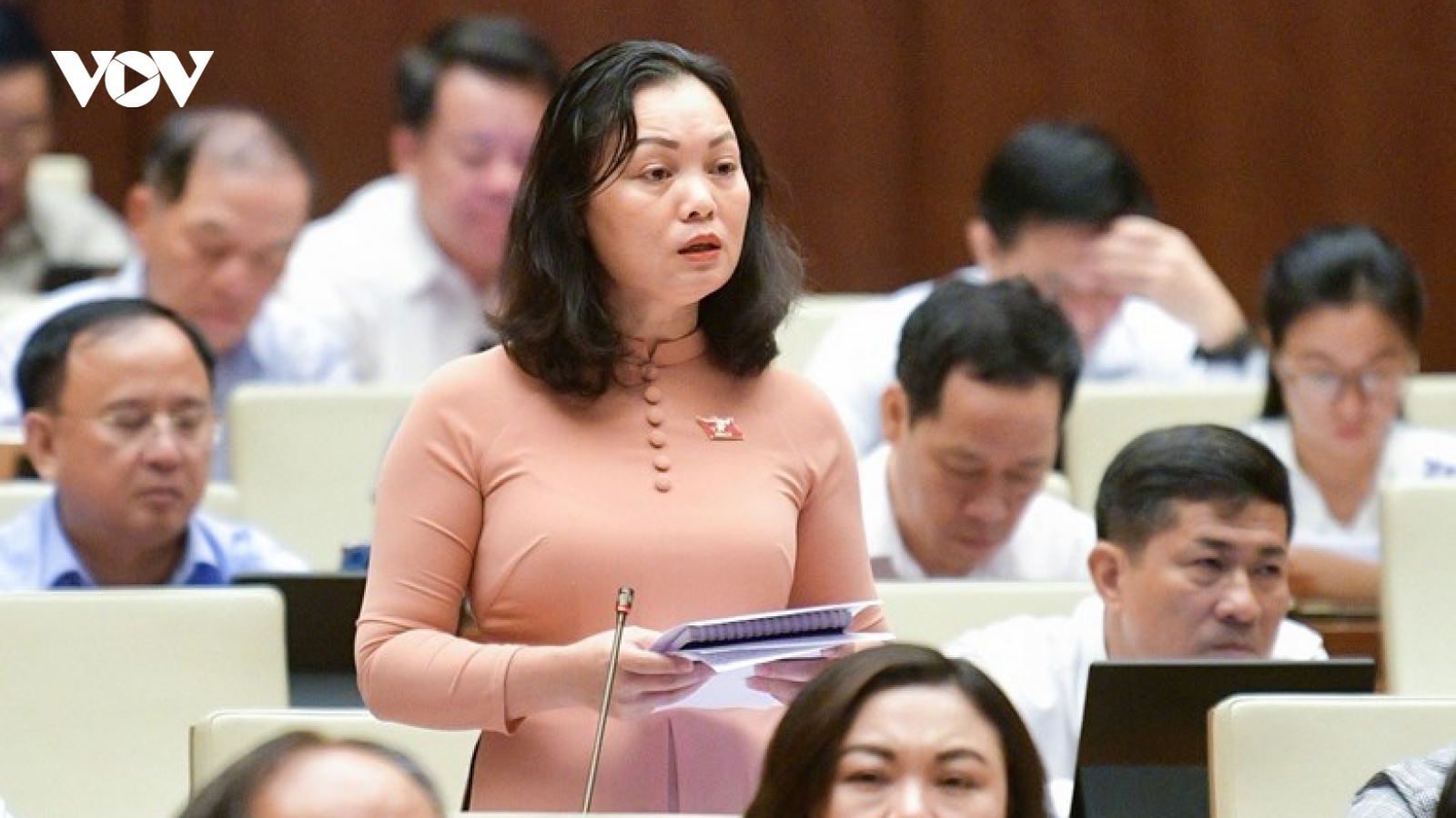 Đại biểu Quốc hội đề nghị xử lý hành vi mua bán thai nhi