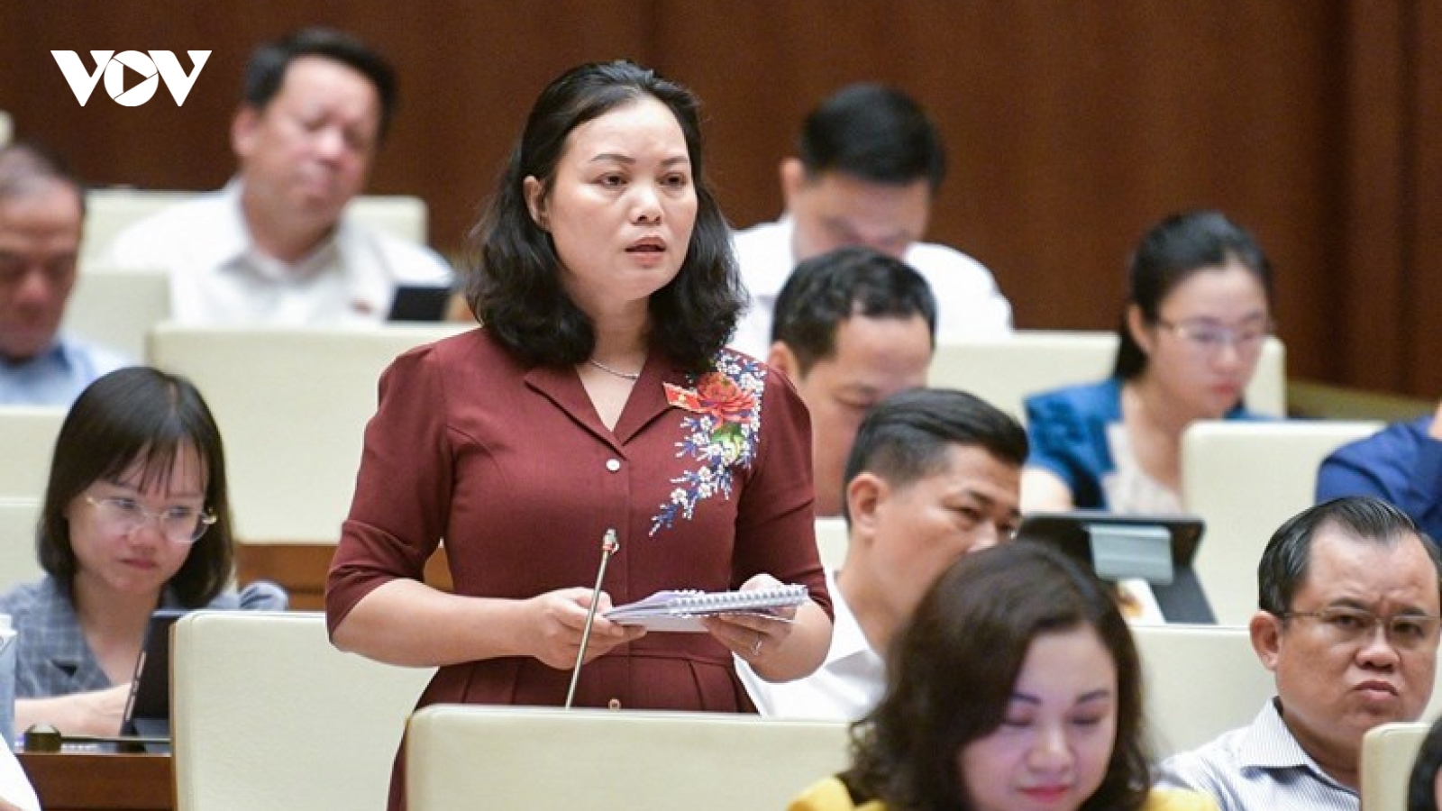 Đại biểu Quốc hội: Nên cấm người dân đốt pháo hoa, quy định “bom xăng” là vũ khí