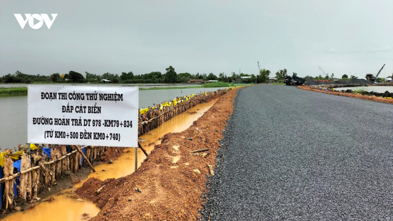 Lúa chết vì dùng cát biển làm vật liệu san lấp