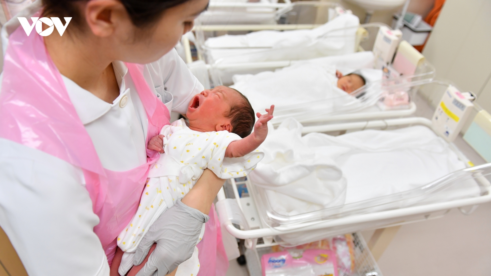 Tỷ lệ sinh ở Nhật Bản có thể đạt mức thấp kỷ lục vào năm 2024