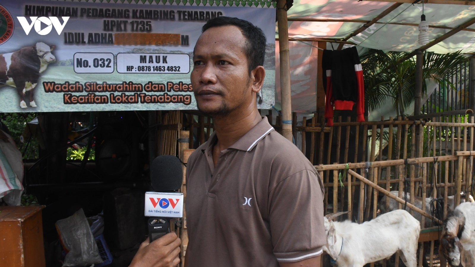 Nhộn nhịp chợ gia súc trước thềm Lễ hiến sinh Eid al-Adha tại Indonesia