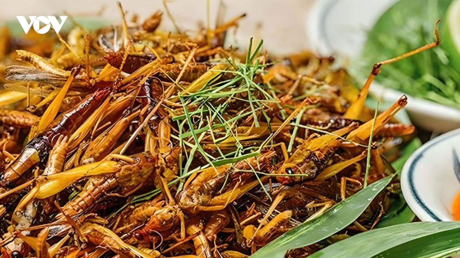 Đặc sản đồng ruộng chỉ xuất hiện khi mùa lúa chín, giá cả triệu vẫn khó mua