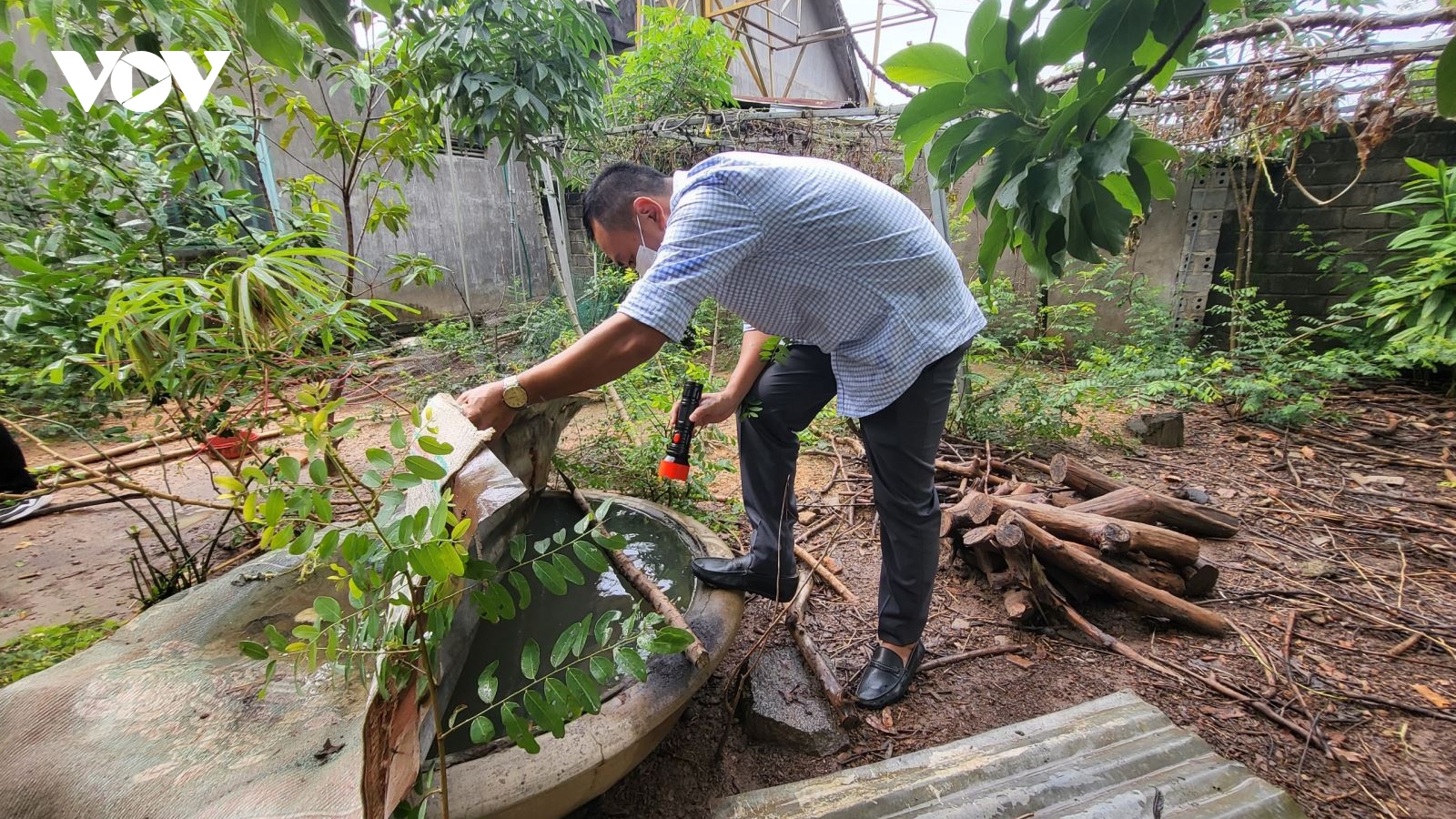Đắk Lắk chủ động phòng chống bệnh sốt xuất huyết trong mùa mưa