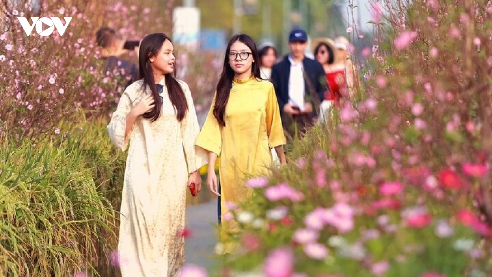 Trải nghiệm không khí Tết tại đường hoa Home Hanoi Xuan 2024