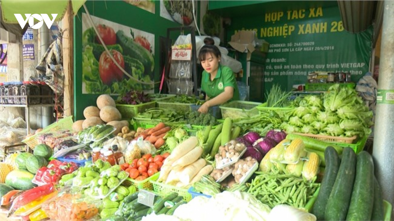 Nông dân tiêu thụ nông sản ổn định nhờ liên kết sản xuất