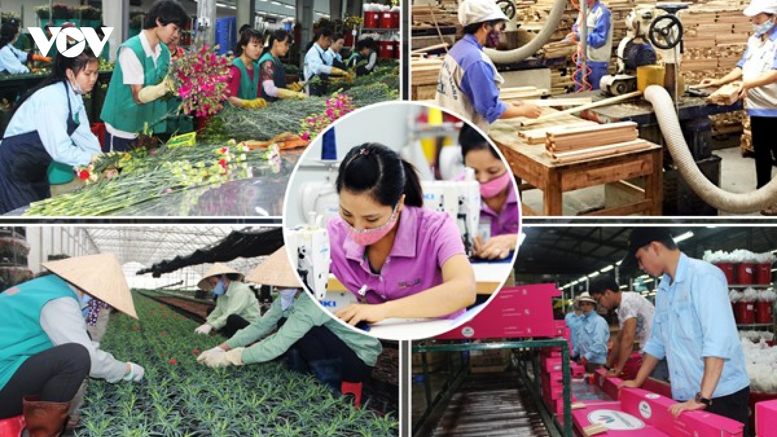 Phát huy vai trò quan trọng của kinh tế tư nhân trong kỷ nguyên mới
