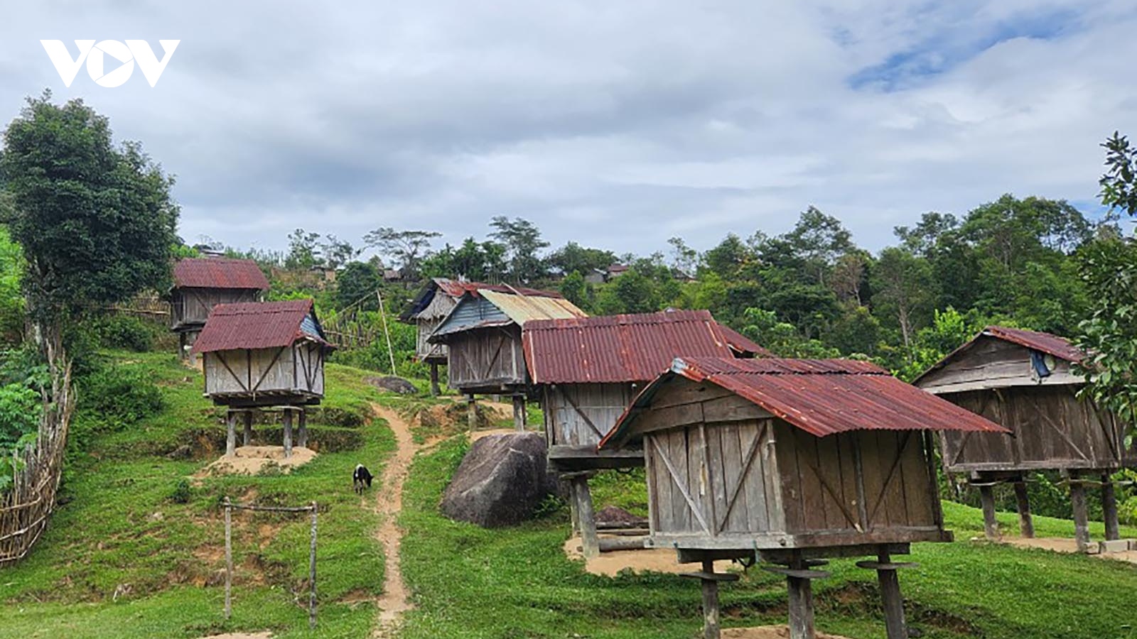 Kon Tum chỉ đạo tăng cường thông tin về vùng đất vướng mắc với tỉnh Quảng Nam