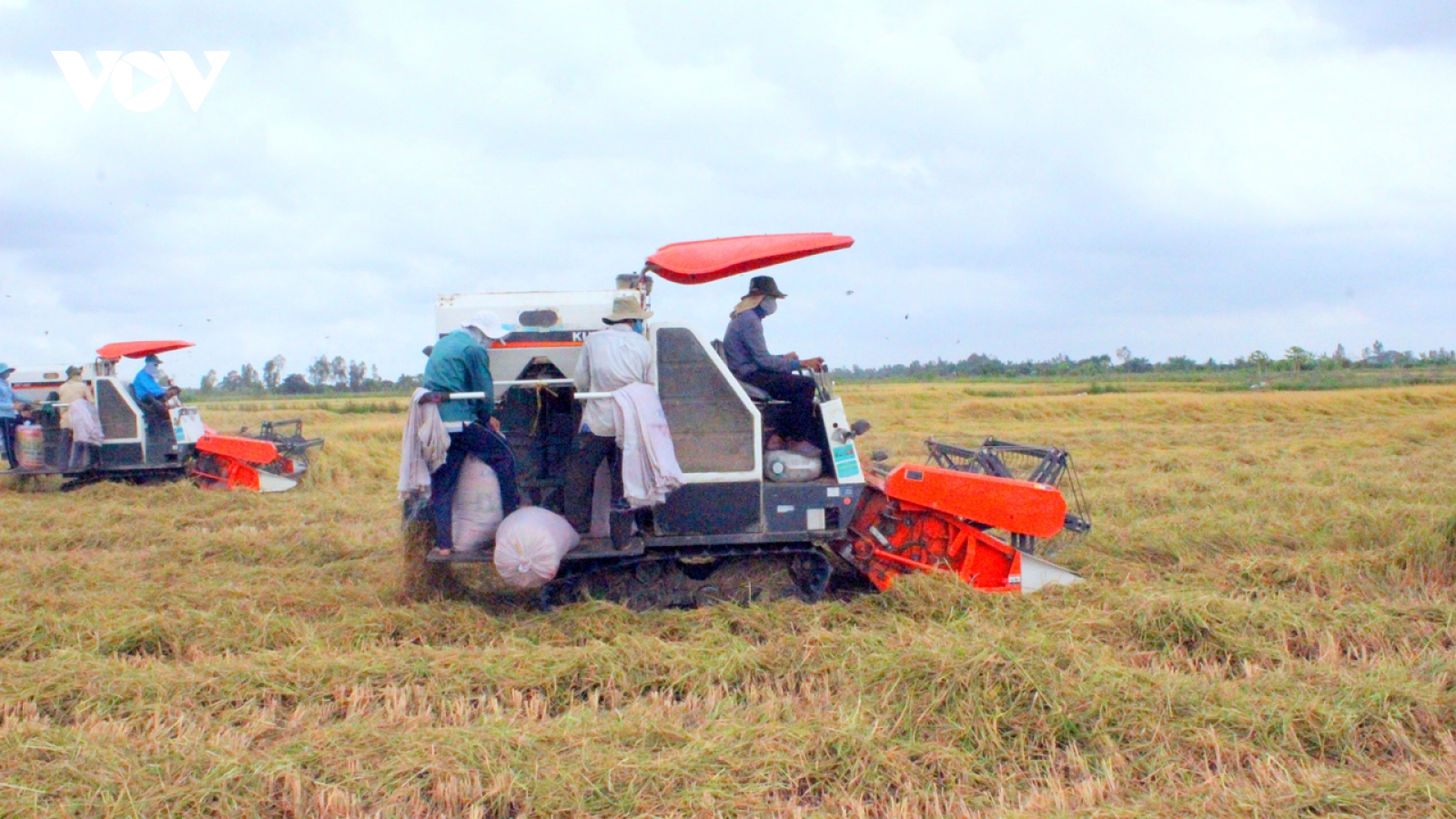 Việt Nam đứng trước cơ hội lớn để trở thành hình mẫu về kinh tế tuần hoàn