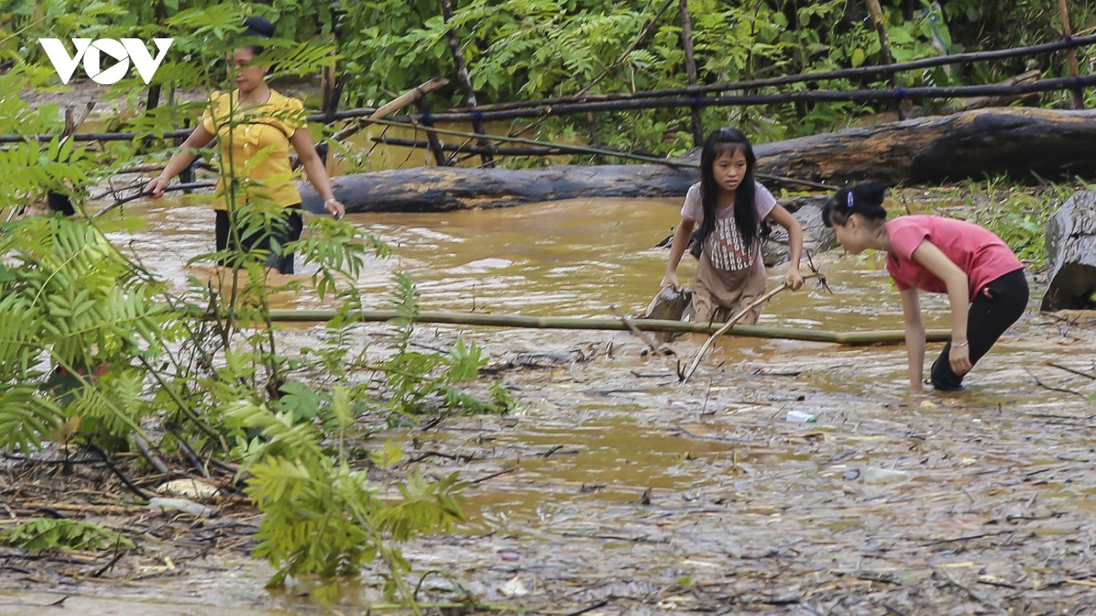 Mặc nước lũ cuồn cuộn, người dân Điện Biên vẫn đua nhau đi vớt củi, bắt cá