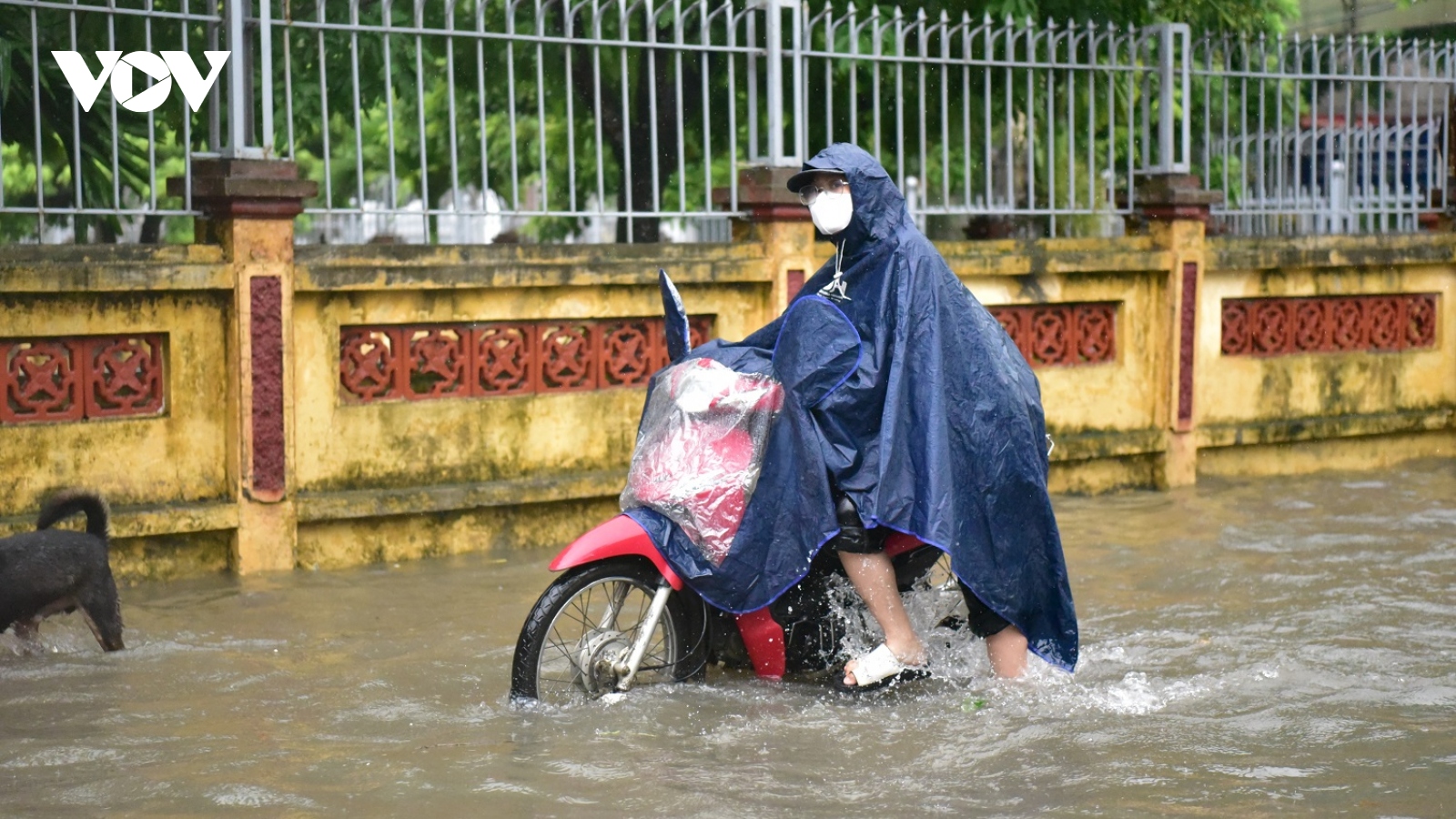 Đường phố Hà Nội ngập sâu trong biển nước, xe cộ chết máy la liệt