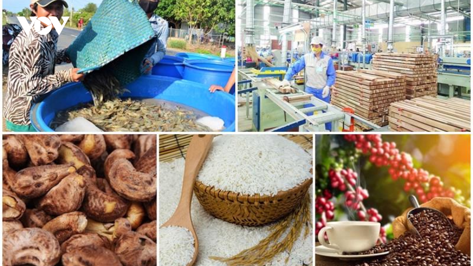Làm thế nào đưa nông, lâm, thủy sản của Việt Nam đến thị trường quốc tế?