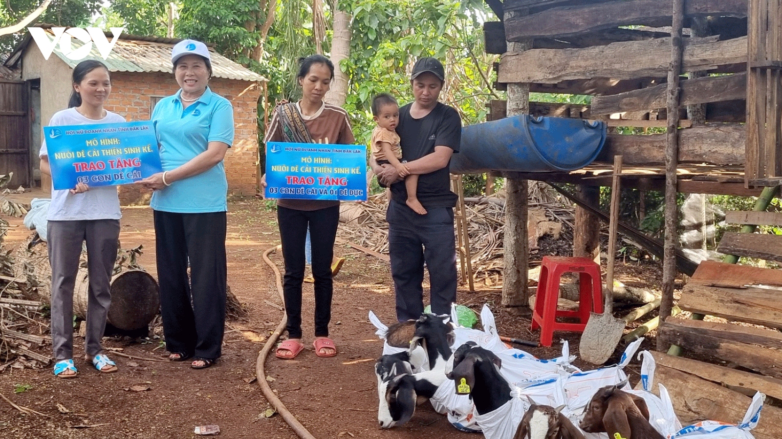 Liên kết nuôi dê, tạo sinh kế cho phụ nữ dân tộc thiểu số tại Đắk Lắk