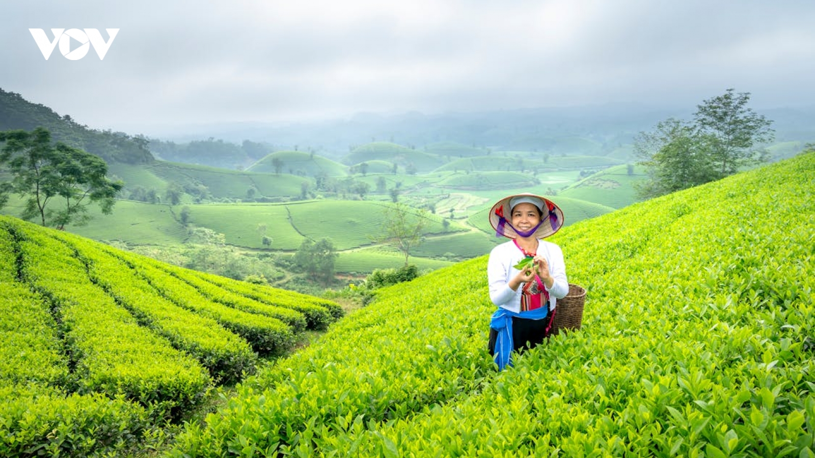 Cả hai kịch bản tăng trưởng kinh tế 2024 đều đang hoạt động dưới mức tiềm năng